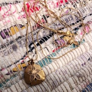 ALEX AND ANI sand dollar necklace gold expandable